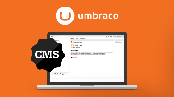 Best-and-Reliable-Umbraco-7.2.8-Hosting